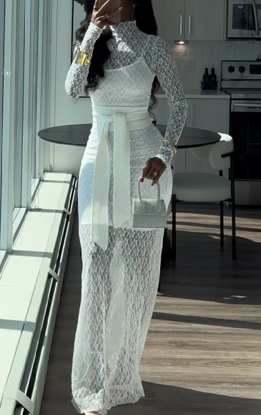 Sexy See-Through Long Sleeve Lace Mesh Dress