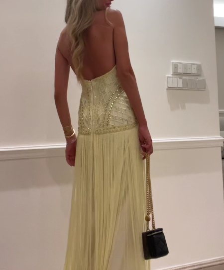 Sexy Backless Halter Neck Sequined Fringe Dress