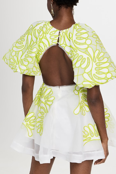 Puff Sleeve Backless Cutout Embroidered Mini Dress