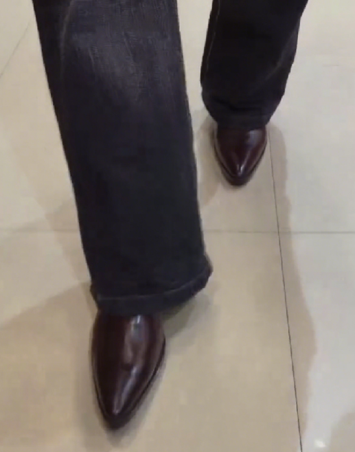 Men's Reddish-brown Pointed Toe Slip-on Ankle Boots