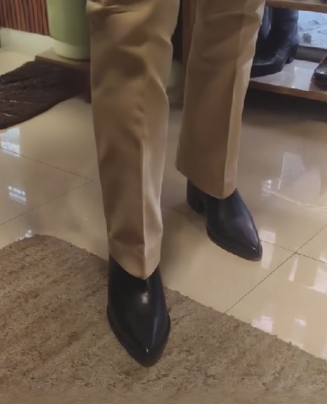 Men's Chelsea Pointed Toe Shoes