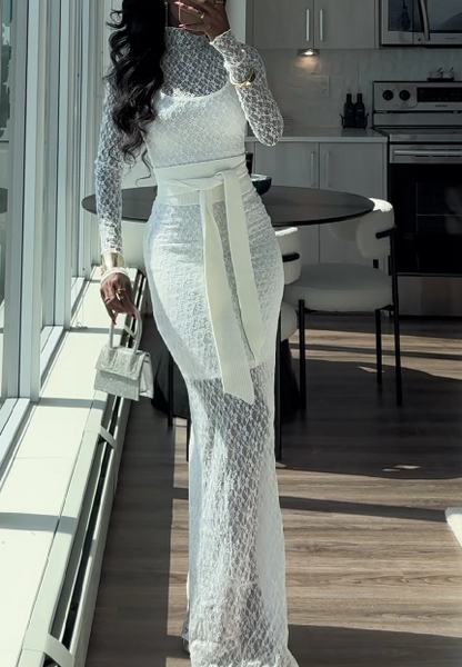 Sexy See-Through Long Sleeve Lace Mesh Dress
