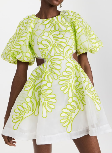 Puff Sleeve Backless Cutout Embroidered Mini Dress