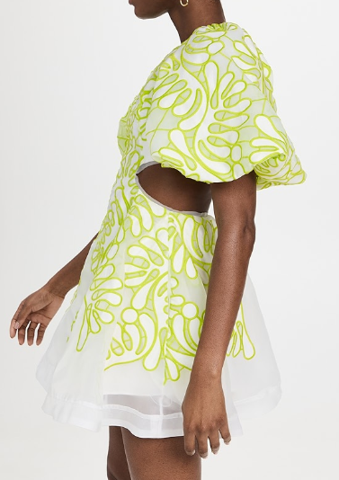 Puff Sleeve Backless Cutout Embroidered Mini Dress